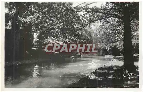 Cartes postales moderne Chalons sur Marne Jardin et Canal du Jard