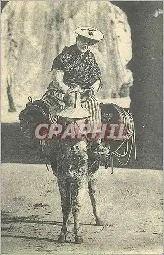 REPRO Comte de Nice Une Paysanne Nicoise Ane Donkey