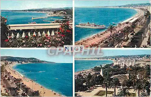 Cartes postales moderne Nice Cote d'Azur French Riviera