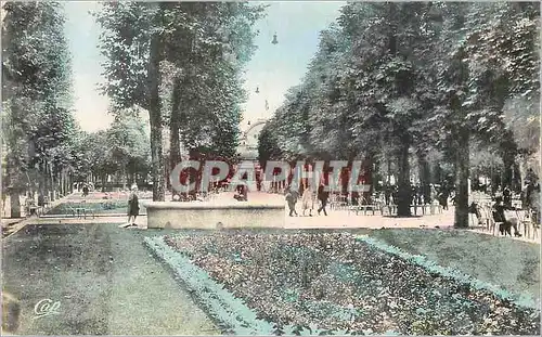 Cartes postales moderne Vichy Le Parc Allee Fleurie