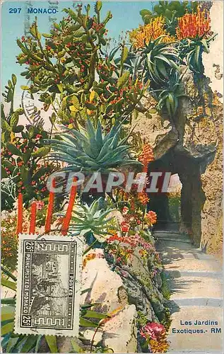 Cartes postales Monaco Les Jardins Exotiques