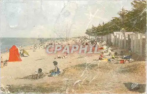 Cartes postales moderne Ile d'Oleron La Bree La Plage