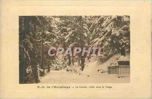 Ansichtskarte AK N D de l'Hermitage La Grande Allee sous la Neige