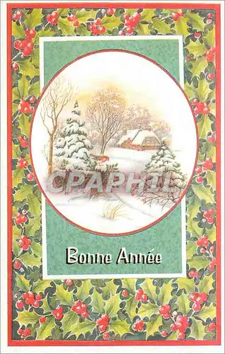 Cartes postales moderne Bonne Annee