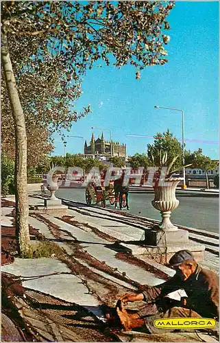 Cartes postales moderne Mallorca (Baleares) Espagna Palma La Cathedrale
