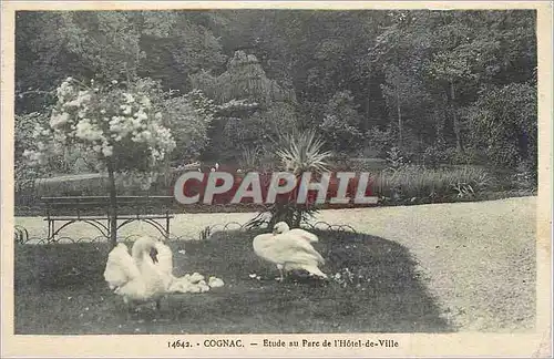 Ansichtskarte AK Cognac Etude au Parc de l'Hotel de Ville