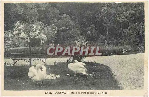 Cartes postales Cognac Etude au Parc de l'Hotel de Ville