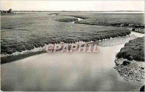 Cartes postales moderne St Germain sur Ay (Manche) Les Belles Plages Normandes
