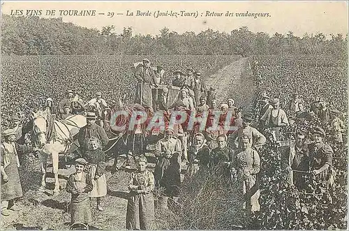 REPRO Les Vins de Touraine la Borde (Joue les Tours) Retour des vendangeurs