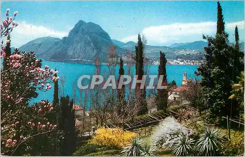Cartes postales moderne Lugano S Salvatore Visto da Castagnola