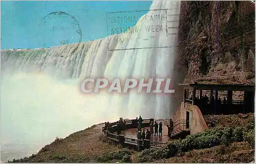 Cartes postales moderne Niagara Falls Ontario Canada Plaza Below Horseshoe Falls