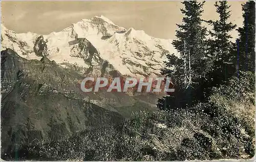 Cartes postales moderne Schynige Platte Blick Hotelterrasse 2000m