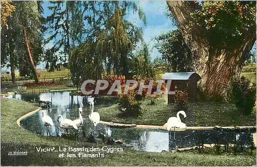 Cartes postales moderne Vichy (Allier) Reine des Villes d'Eaux le Bassin des Cygnes et les Flamants