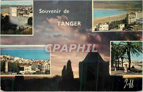 Cartes postales moderne Souvenir de Tanger