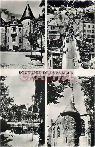 Cartes postales moderne Souvenir de la Palisse