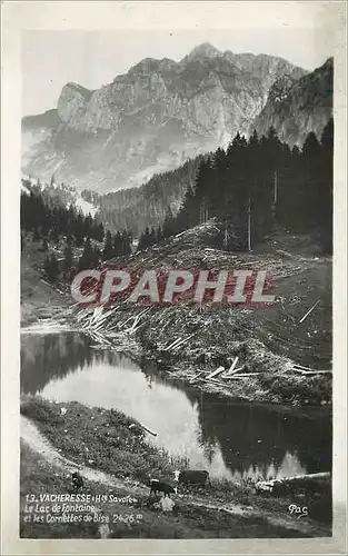 Cartes postales Vacheresse (Hte Savoie) Le Lac de Fontaine et les Cornettes de Bise 2436 m Vaches
