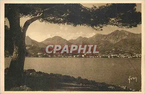 Cartes postales Menton (Alpes Maritimes) Cote d'Azur La Douce France La Ville vue du Cap Martin au Loin le Massi
