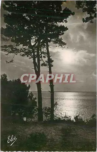Cartes postales moderne Bassin d'Arcachon Gironde Coucher de Soleil sur le Bassin