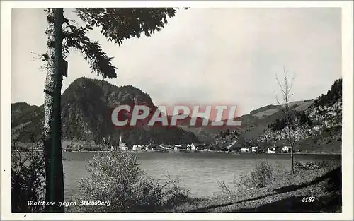 Cartes postales moderne Walchsee Gegen Miessberg