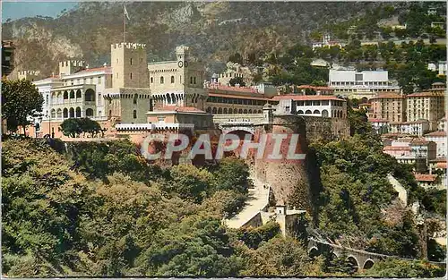 Cartes postales moderne Principaute de Monaco Vue d'ensemble du Palais et Remparts