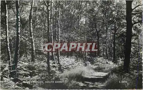 Cartes postales moderne Oxhey Woods South Oxhey