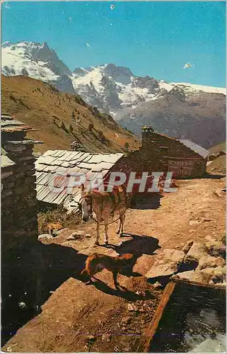 Cartes postales moderne Les Alpes en Couleurs Naturelles Hameau de Haute Montagne Ane Donkey
