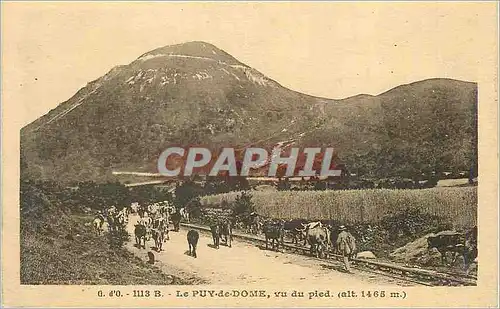 Cartes postales Le Puy de Dome vu du pied (alt 1465 m) Vaches