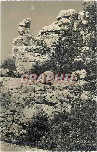 Cartes postales moderne Bois de Paiolive (Ardeche)