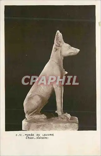 Cartes postales Musee du Louvre Chien (Calvaire)