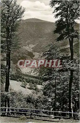 Cartes postales moderne Feldberg (Schwarzwald) 1500 m u m Blick vom Schwarzwald