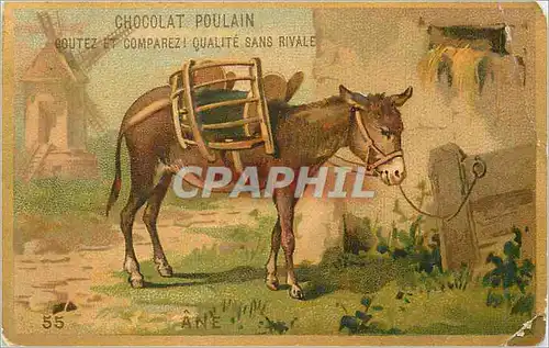 Chromo Chocolat Poulain Goutez et Comparez Qualite sans Rivale Ane Donkey