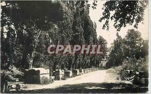 Cartes postales moderne Arles (B du Rh) La Provence Romaine Les Alyscamps