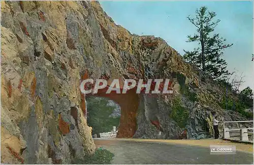 Cartes postales moderne Les Hautes Vosges La Roche du Diable