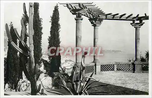 Cartes postales moderne Monaco Les Jardins Exotiques