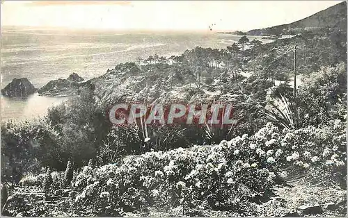 Cartes postales moderne Un Coin Fleuri de la Corniche d'Or