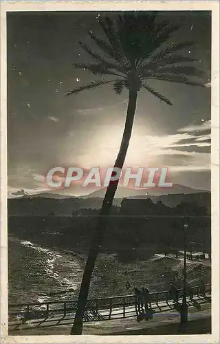 Cartes postales moderne Nice Coucher de Soliel sur le Quai des Etats Unis