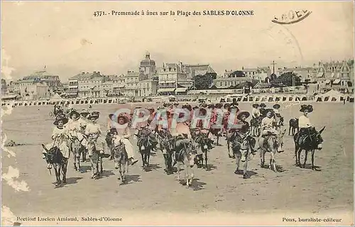 Cartes postales Promenade a anes sur la Plage des Sables d'Olonne  Ane Donkey