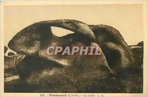 Cartes postales Ploumanach (C du N) Le Lapin