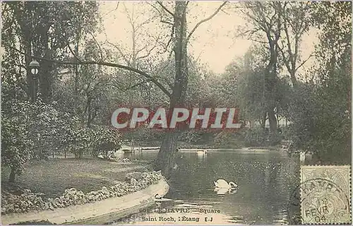Cartes postales Le Havre Square Saint Rock Etang Cygne