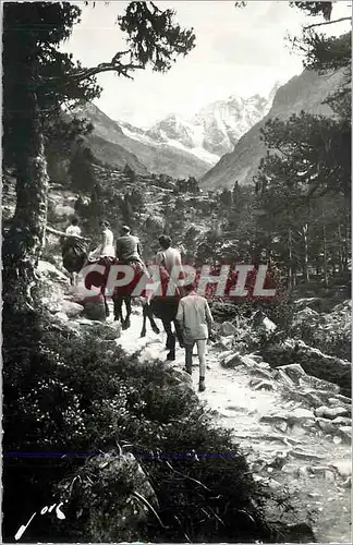 Cartes postales moderne Cauterets (H P) Sur le Chemin du Lac de Gaube a dos de mulet Ane Donkey