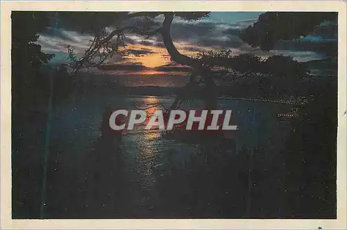 Cartes postales Effet de Nuit