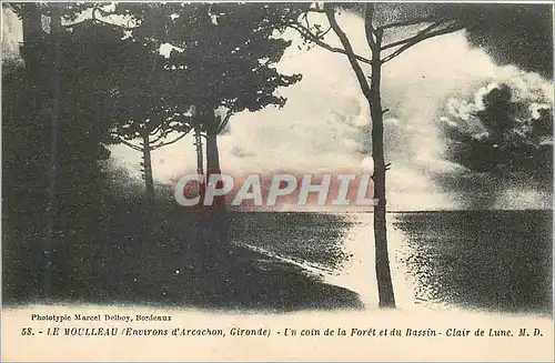 Cartes postales Le Moulleau (Environs d'Arcachon Gironde) Un Coin de la Foret et du Dassin Clair de Lune
