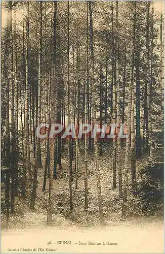 Cartes postales Epinal Sous Bois au Chateau