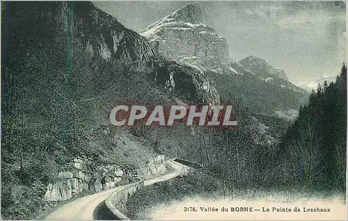 Ansichtskarte AK Vallee du Borne La Pointe de Leschaux