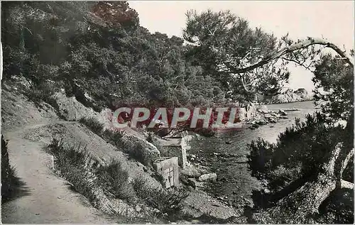 Moderne Karte Toulon Sentier des Douaniers Les Pins Penches