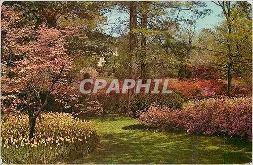 Cartes postales moderne Sherwood Gardens Baltimore Maryland