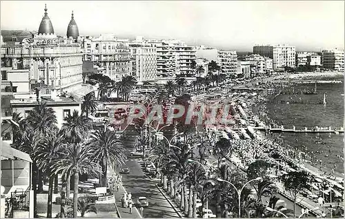 Cartes postales moderne Cannes Cote d'Azur La Croisette