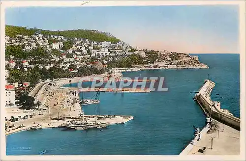 Cartes postales moderne Nice Le Port et le Mont Boron