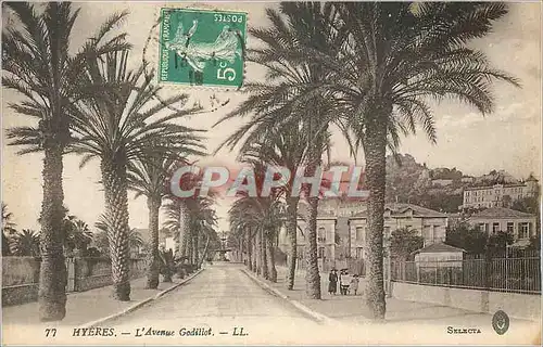 Cartes postales Hyeres L'Avenue Godillot