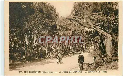 Cartes postales Ile d'Oleron (Char Mar) La Foret de Vert Bois L'Arrivee a la Plage